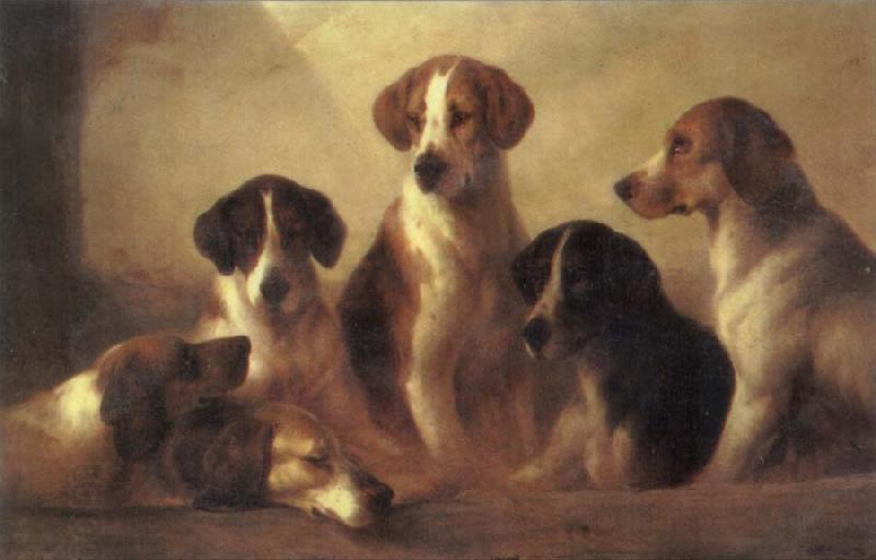 Edward Robert Smythe Hounds oil painting picture